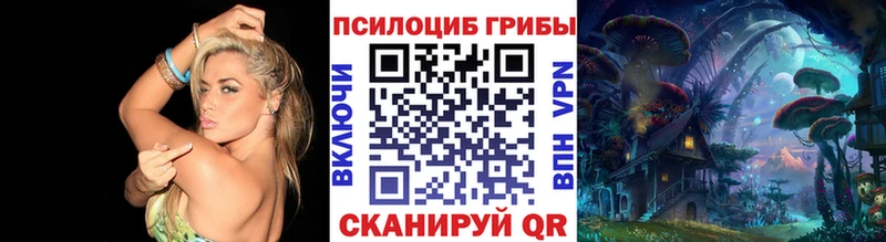 купить наркотик  Болохово  Галлюциногенные грибы Cubensis 