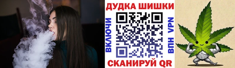Бошки Шишки THC 21%  ссылка на мегу tor  Болохово  где купить  